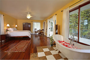 suite_golden_penthouse