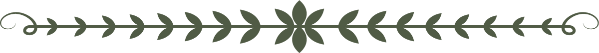 floral divider floral divider