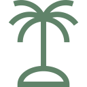 Palm Tree Symbol Palm Tree Symbol